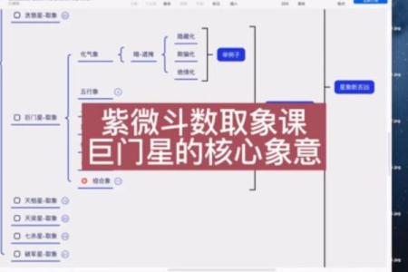 紫薇斗数里的巨门星啥意思