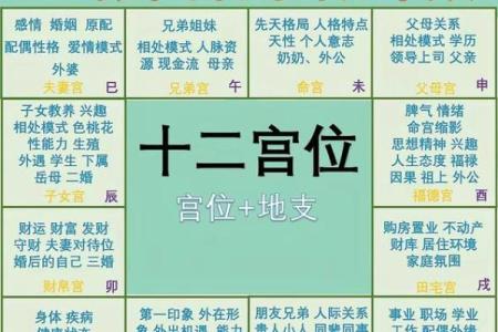紫薇斗数庙什么意思