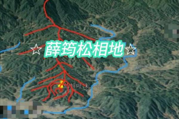 风水点穴_青蛙捕食穴应点在什么地方