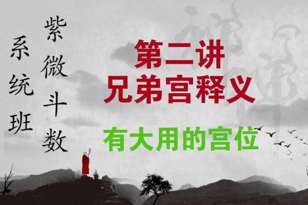 紫微斗数之兄弟宫在寅宫，是什么意思？