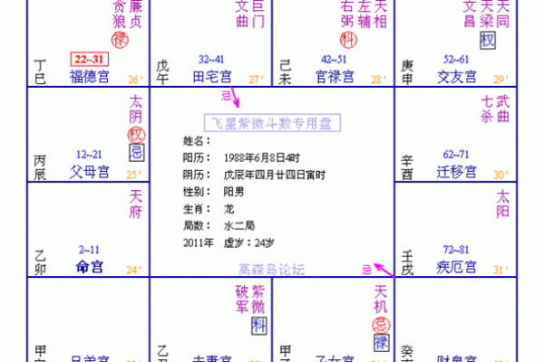 紫微斗数化科入疾厄宫