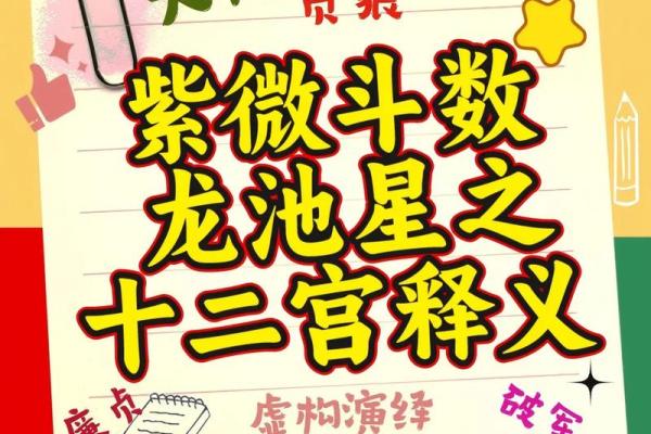 紫薇斗数体用宫