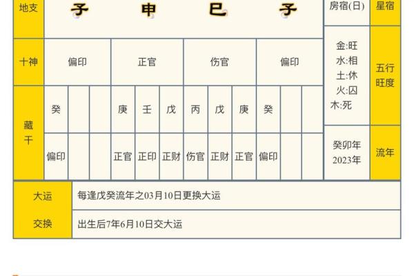 八字天元坐录详解：命盘分析、五行缺失、流年吉凶通解
