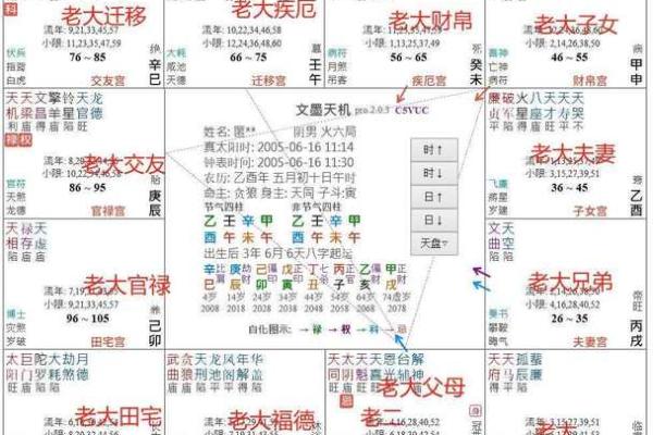 【紫微斗数】排盘技巧047： 紫微斗数在法律领域的应用
