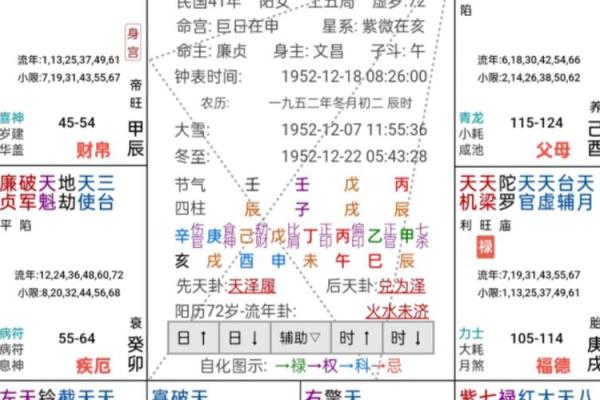 紫薇斗数详细批