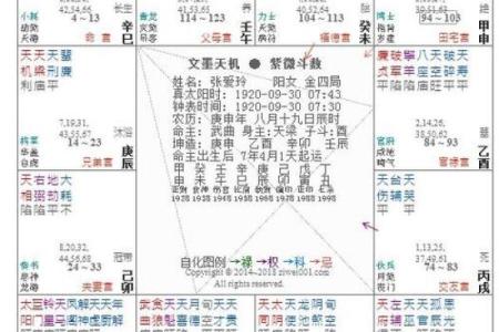 腾讯紫微命盘免费算命