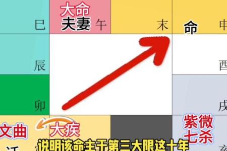 紫薇斗数实例解说