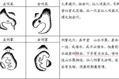 风水点穴_青蛙捕食穴应点在什么地方