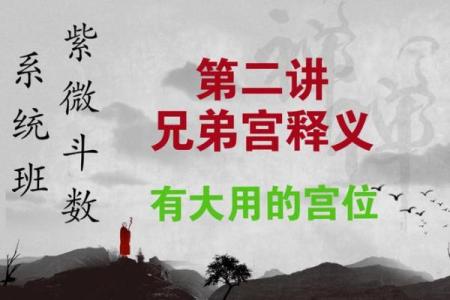 紫微斗数之兄弟宫在寅宫，是什么意思？