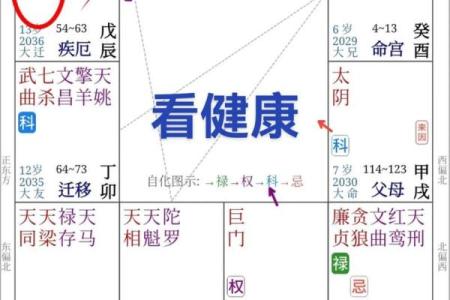 紫微斗数化科入疾厄宫