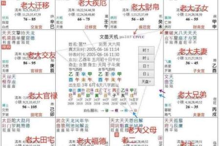 【紫微斗数】排盘技巧047： 紫微斗数在法律领域的应用