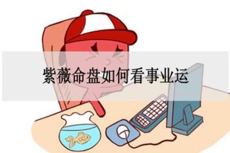 紫薇斗数看事业升迁