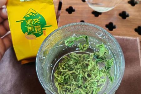 风水绿茶泡多久最佳多长时间最佳