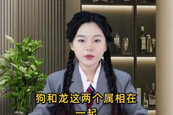 属龙和属狗适合做夫妻吗 配对有什么缺点