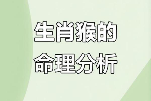 属猴人算命