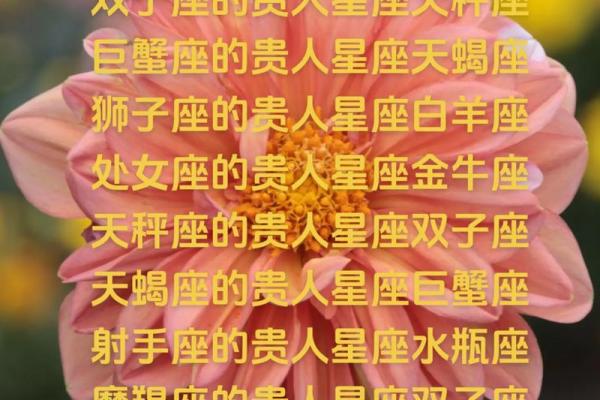 哪个星座的贵人星座是狮子座的女生