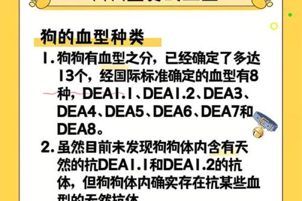 血型与健康有什么关系