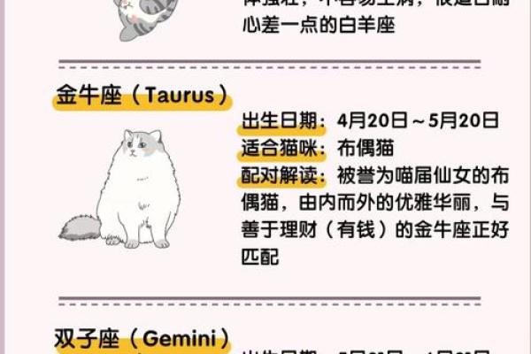 十二星座双子适合养猫狗嘛