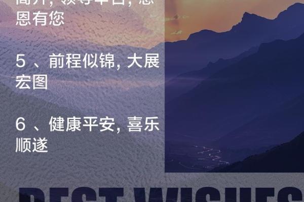 领导八字