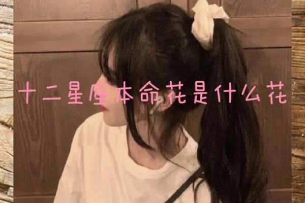 十二星座代表花都有哪些呢
