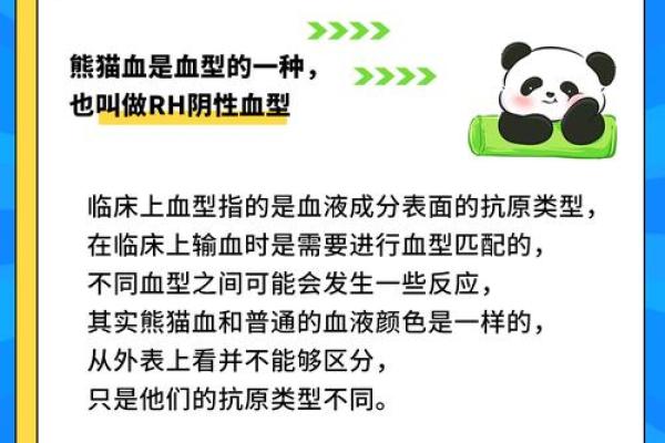 最能装相的血型是谁