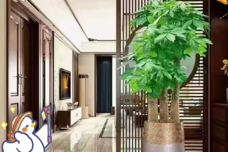 家居风水一进门看见什么好-