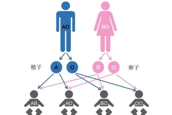 血型可以判断孩子是亲生的吗 血型能鉴定亲子关系吗
