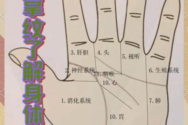 如何通过手相手纹算命-