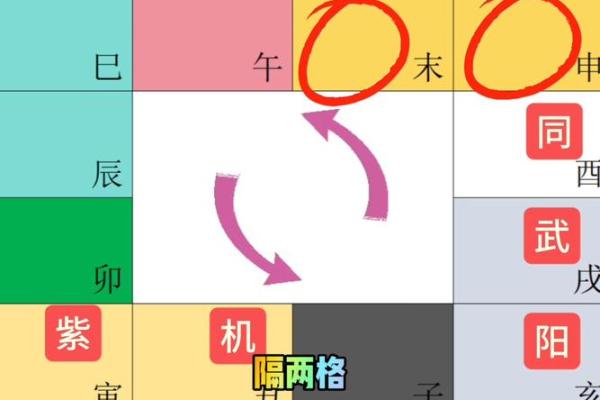 紫薇斗数与紫薇星盘