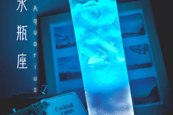 水瓶座的合适星座
