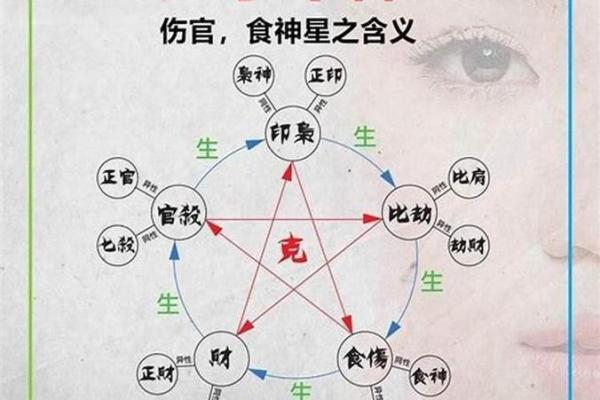八字-食神总论