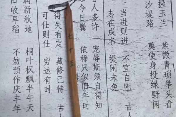 灵签第二十八签解签详解