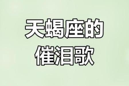 12星座最傻的歌怎么唱