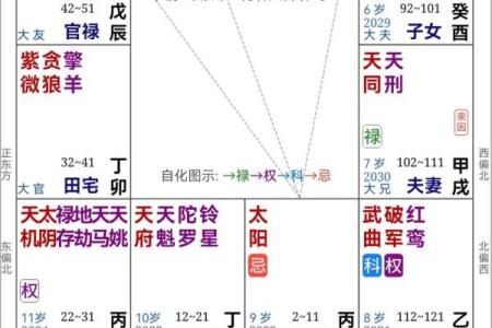 紫薇斗数与紫薇星盘