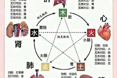 八字五行有两个火,五行双火好不好