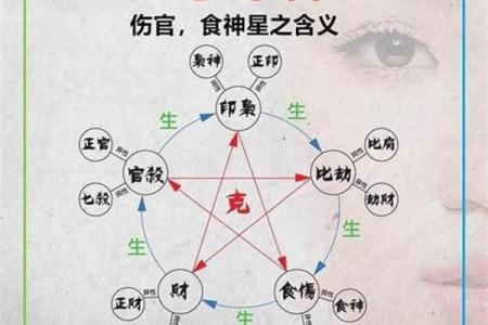 八字-食神总论