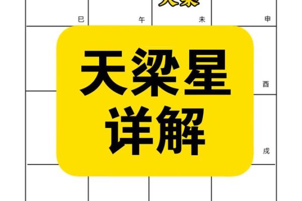 紫薇斗数天月星