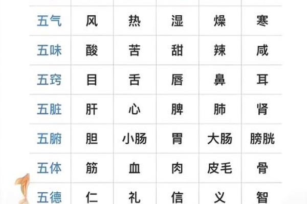 什么是五行八字