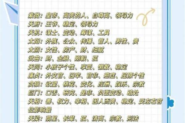 紫薇斗数术语逢