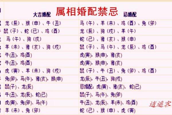属兔的婚姻配对最佳