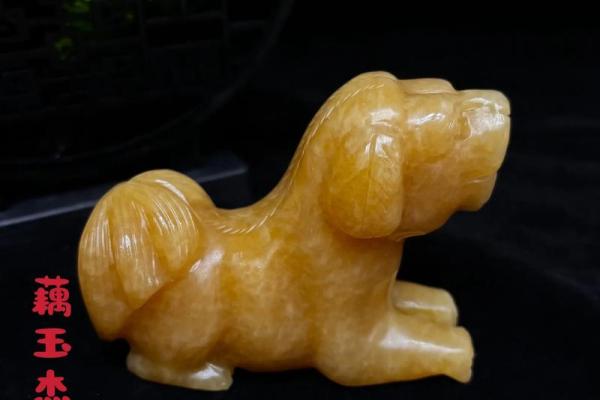 哪些风水摆件适合放在客厅
