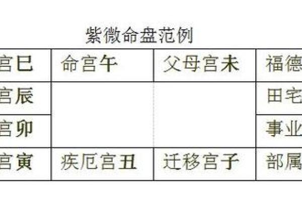 紫薇斗数怎么看大限旺衰