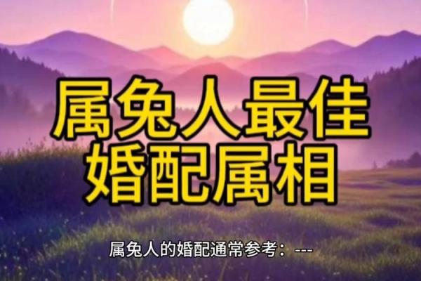 属兔的最佳生肖配对