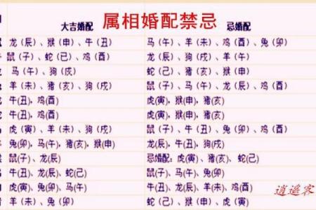 属兔的婚姻配对最佳