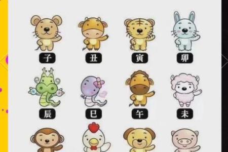 猪的生肖配对