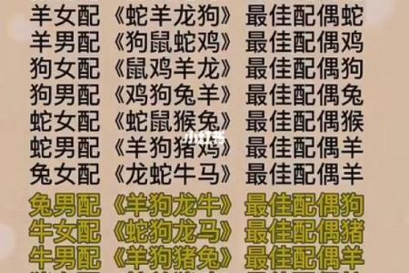十二生肖配对表