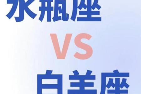 白羊水瓶配对指数 白羊水瓶合适在一起吗