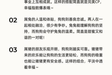 生肖属兔和属狗的合不合 相合配对指数