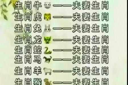 婚姻属相配对大全很准 婚姻属相配对大全很准十二生肖男女属相配对