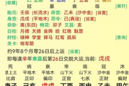 生辰八字星占